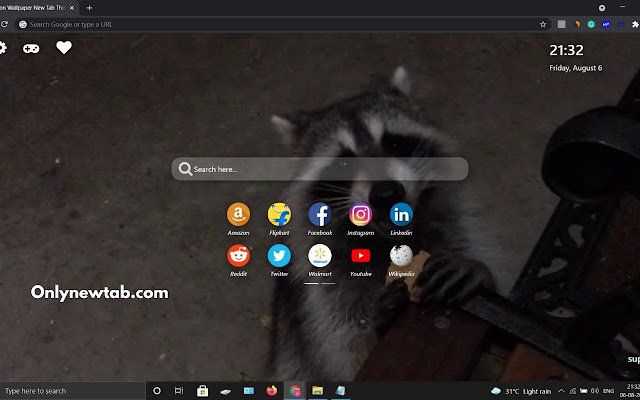 Raccoon Wallpaper New Tab Theme