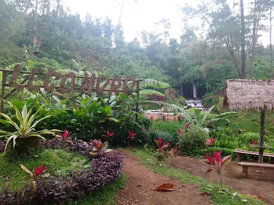 wisata air terjun banyuwangi