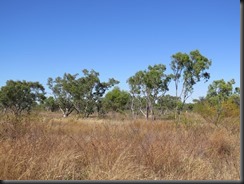 170607 003 Carpentaria Hwy to Cape Crawford