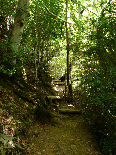 senderismo - Valle de Pineta - Cascada Cinca - Cascada de La Larri - Llanos de La Larri