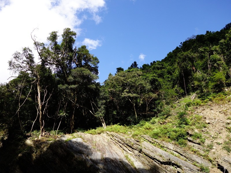 2014_0101-0105 萬山神石、萬山岩雕順訪萬頭蘭山_0819