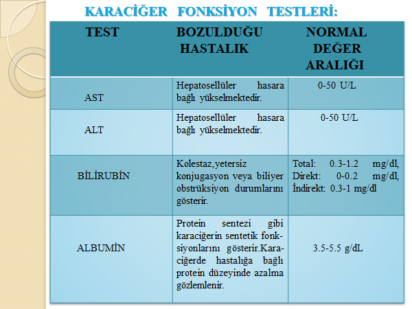 karaciğer