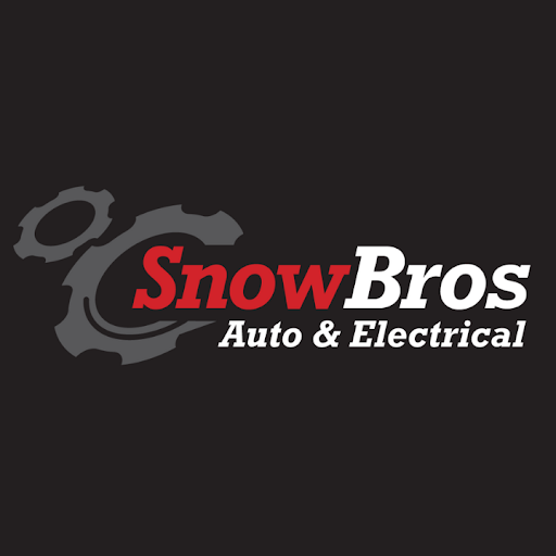 Snow Bros Auto Electrical Ltd logo