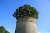 The Oak in a Dovecote, Béceleuf