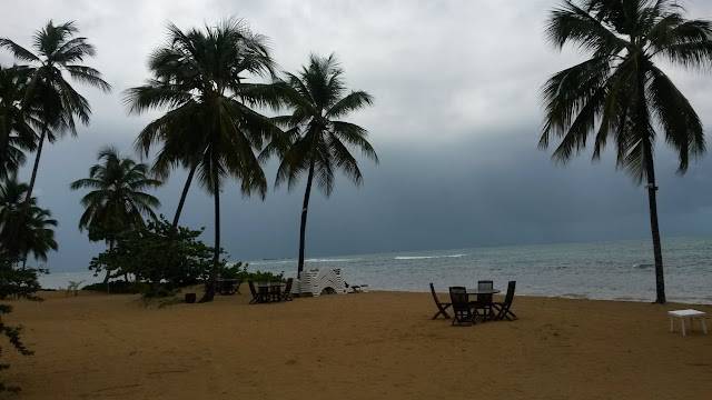 Santo Domingo y Samaná a nuestro aire. - Blogs of Dominican Rep. - Cena de despedida y vuelta a España con tormenta tropical. (2)