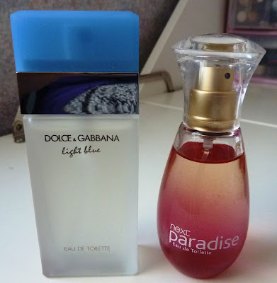 d&g light blue dupe