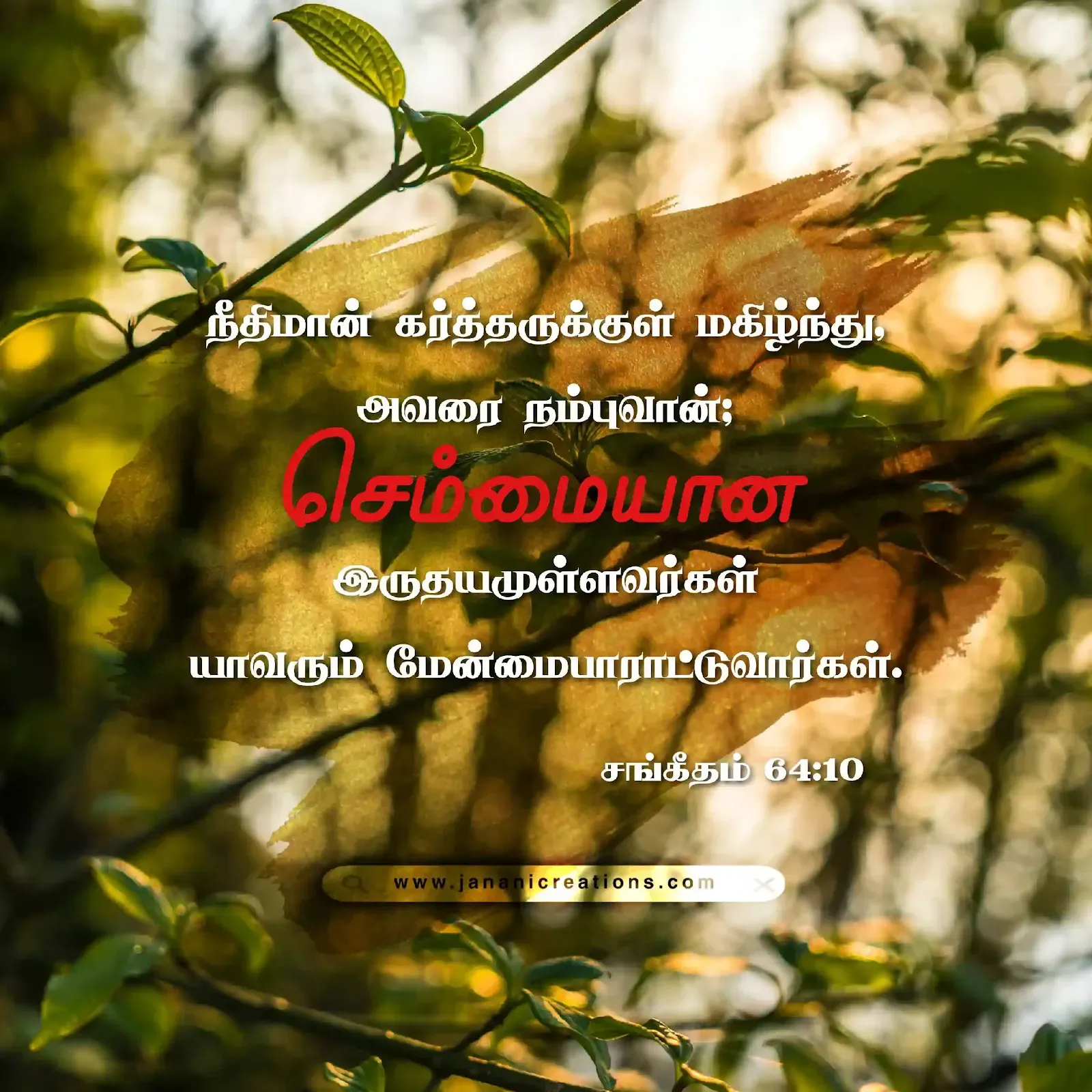 Bible verses in tamil 