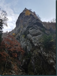 20181020_111731 20181020_111731