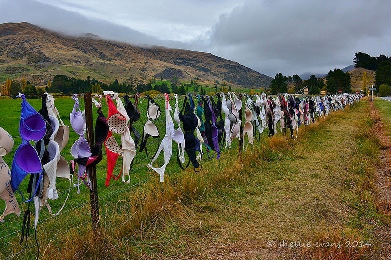 cardrona-bra-fence-2