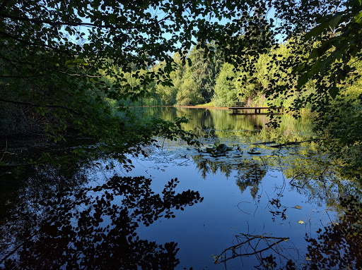 Park «West Hylebos Wetlands Park», reviews and photos, 411 S 348th St, Federal Way, WA 98003, USA