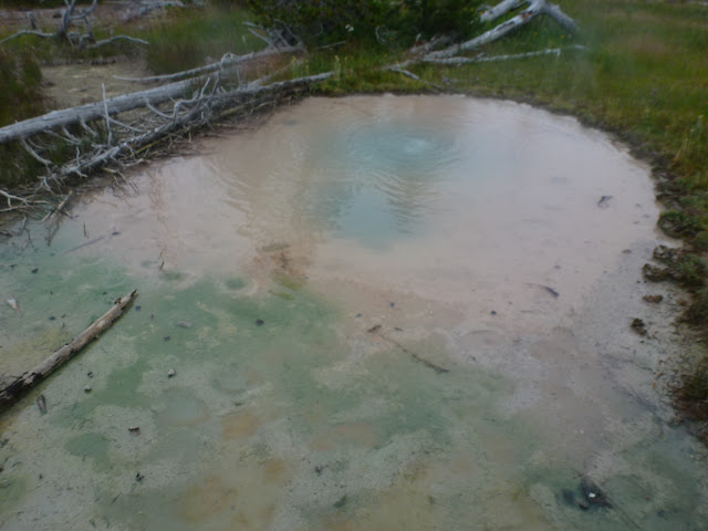 Valle Hayden. Mud Vulcano y Sulphur Caldron. Black Sand Basin.  13 de Julio. - LAS ROCOSAS DE CANADA. YELLOWSTONE Y GRAND TETON. (39)