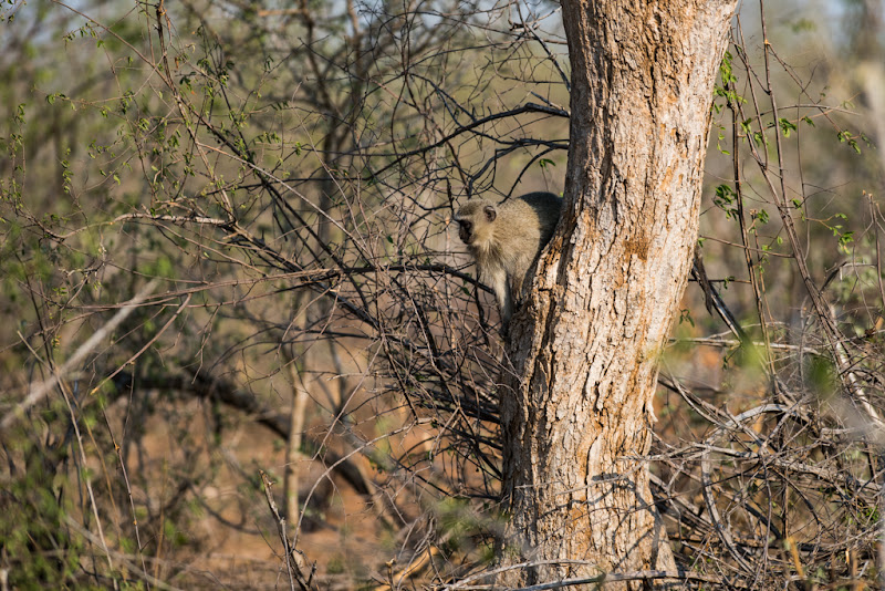 20151014_AFRICA15_810_0686.jpg