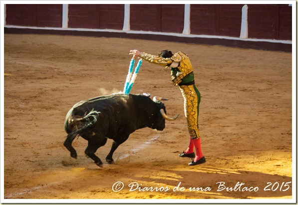 Toros Feria 2015-9981