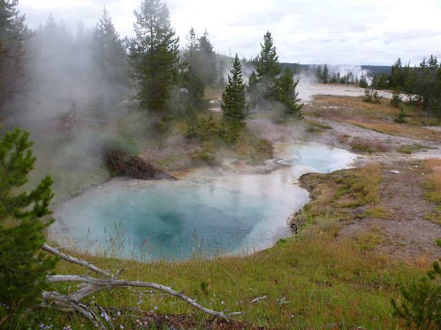 West Thumb, (PN Yellowstone) y Grand Teton. 15 Julio - LAS ROCOSAS DE CANADA. YELLOWSTONE Y GRAND TETON. (6)