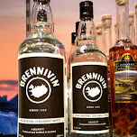 Brennivin - black death in Reykjavik, Iceland 