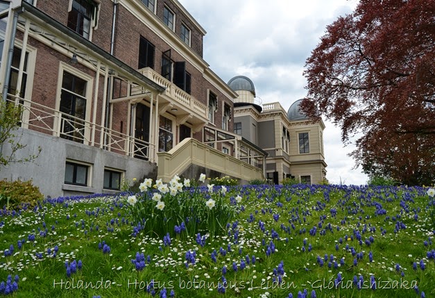 Glória Ishizaka - Hortus Botanicus Leiden - 39