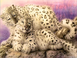 White Jaguars