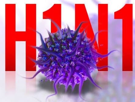 H1N1