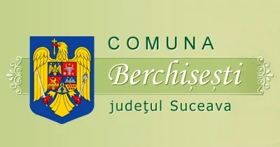 Anunț angajare inspector debutant - Primăria Comunei Berchisești