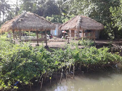 Photos of Gazebo Bamboo Mangrove