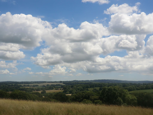 CIMG5707 Distant view of Ashdown Forest