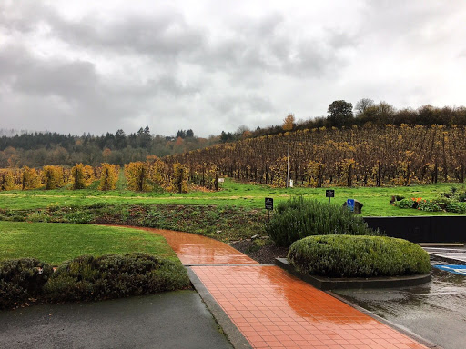 Winery «REX HILL», reviews and photos, 30835 OR-99W, Newberg, OR 97132, USA