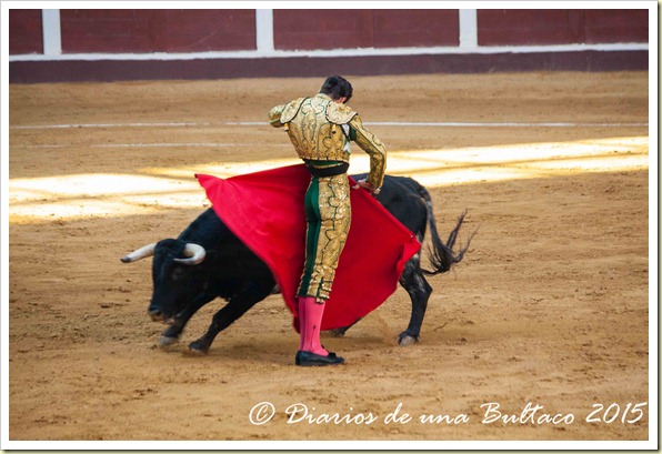 Toros Feria 2015-9877