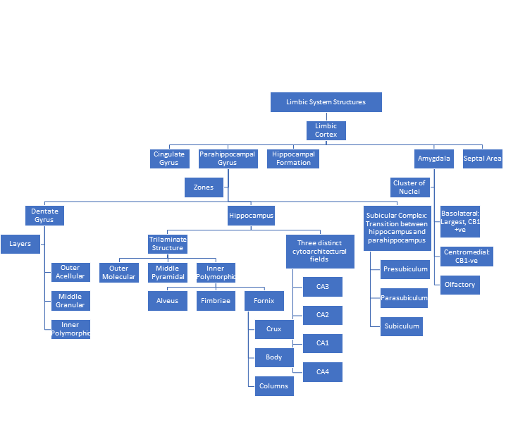 Mind Maps in Psychiatry