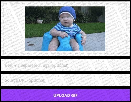 GIF animado en Facebook con Giphy - etiquetas y URL gif animado