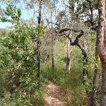 following the Lake Eckersley (113932)