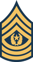 파일:external/upload.wikimedia.org/110px-Army-USA-OR-09b.svg.png