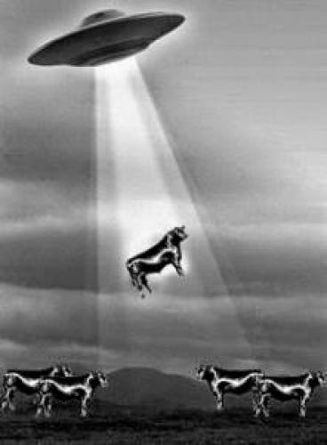 Unexplained Cow Abductions In Roswell