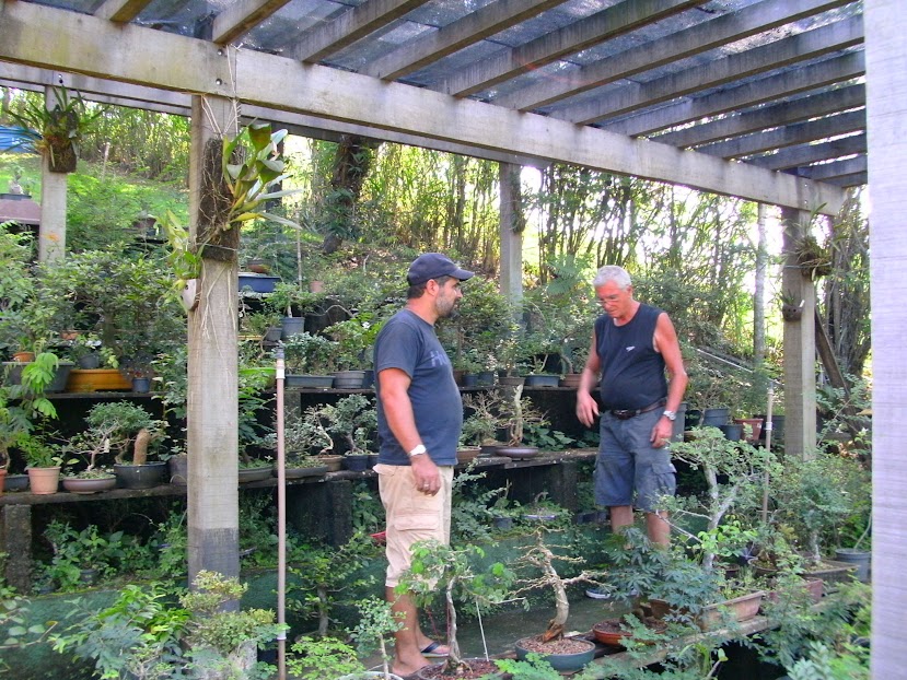 Encontro no Sítio do Bonsai em Niteroí... - Página 2 PICT1158