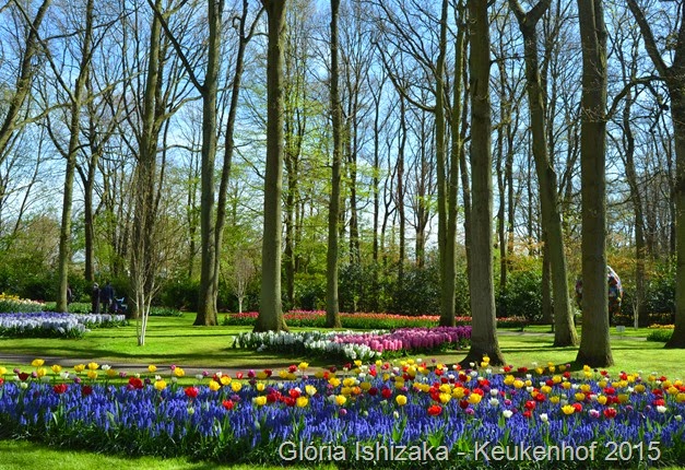 1 .Glória Ishizaka - Keukenhof 2015 - 67