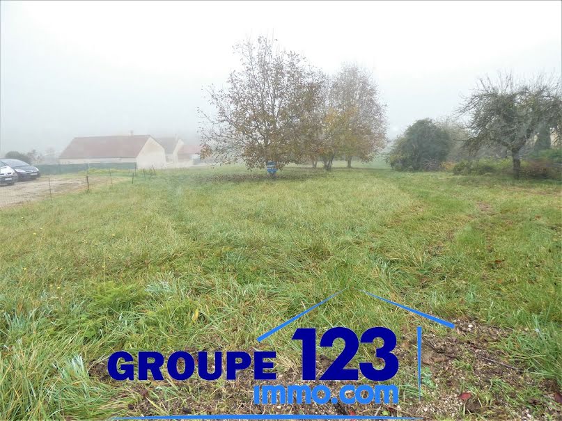 Vente terrain  2356 m² à Saint-Florentin (89600), 55 900 €