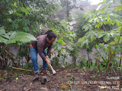 jawapes.or.id - Penanaman Pohon Kopi Guna membantu Memproduksi Madu Lebah Klanceng, Dan Mencegah Erosi Pada Lahan Kritis