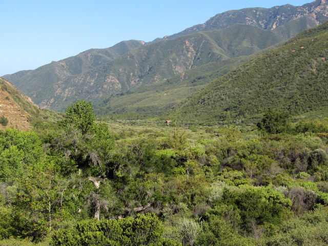 the canyon widening in the distance