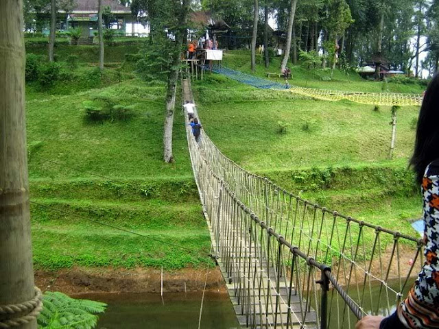 Wisata Kebun Teh Pagaliran Batang Hasil Gambar Pagilaran Villa