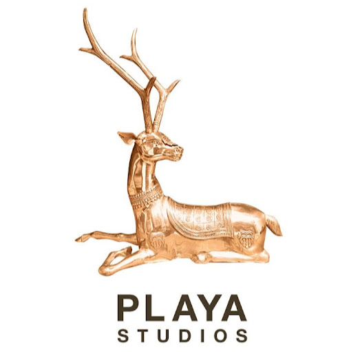 Playa Studios