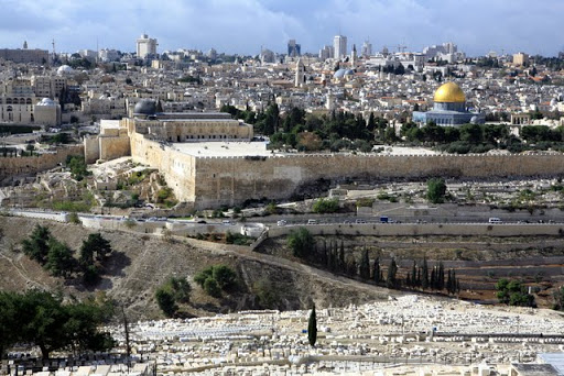 Photos from Arab Jerusalem (a very special waves) صور من القدس العربية ( خاص جدا أمواج ) IMG_7676