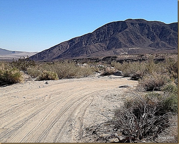 Coyote Mountain looking toward the east