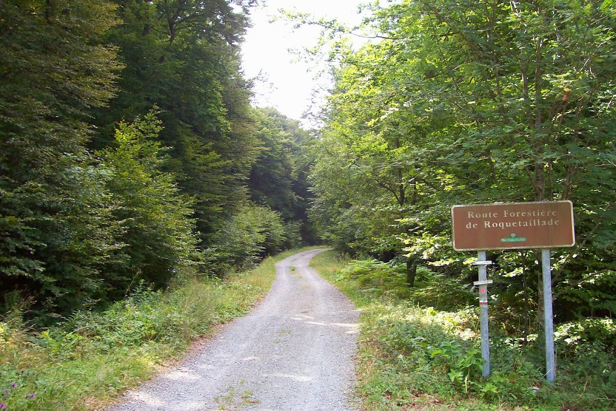 100_1474.JPG