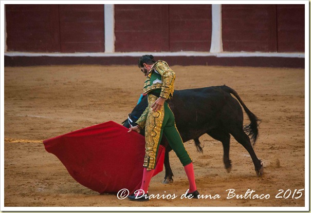 Toros Feria 2015-9992