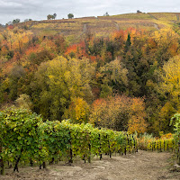 I colori delle Langhe di Albifog