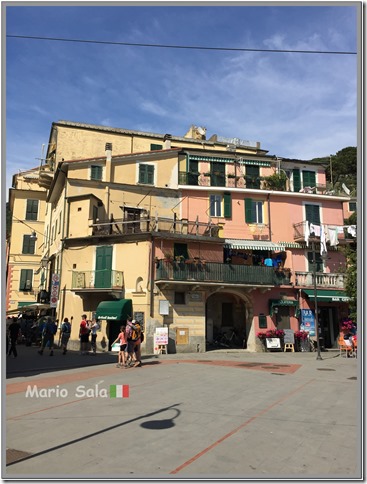 5TE_CEL_MONTEROSSO_05