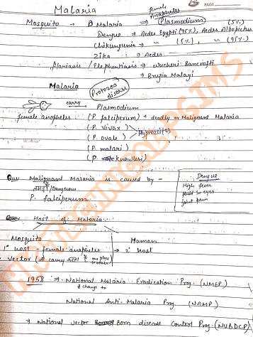 BP503T Antimalarial drugs and malaria cycle 5th Semester B.Pharmacy ,BP503T Pharmacology II,BPharmacy,Handwritten Notes,BPharm 5th Semester,Important Exam Notes,