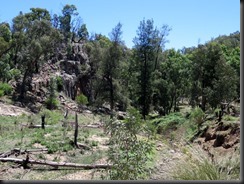 171107 095 Warrumbungles Wambelong Nature Trail