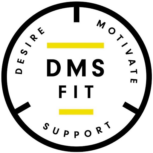 DMSfit logo