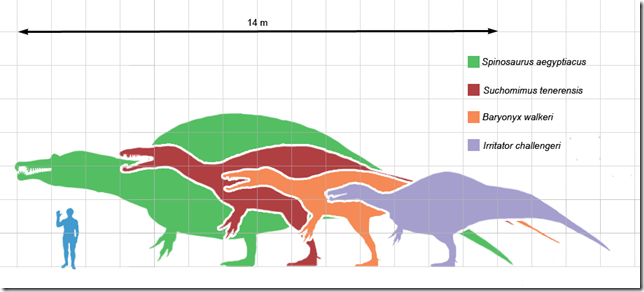 Spinosauridscale