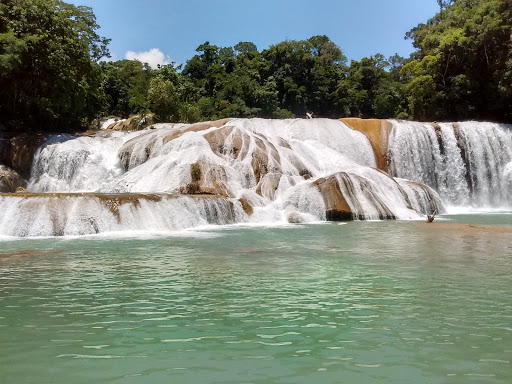 AVENTURANDOME A LA NATURALEZA, Cascada de Agua Azul, Agua Azul, 29920 Chiapas, Chis., México, Agencia de viajes | CHIS